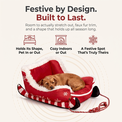The Cloud Sleigh™