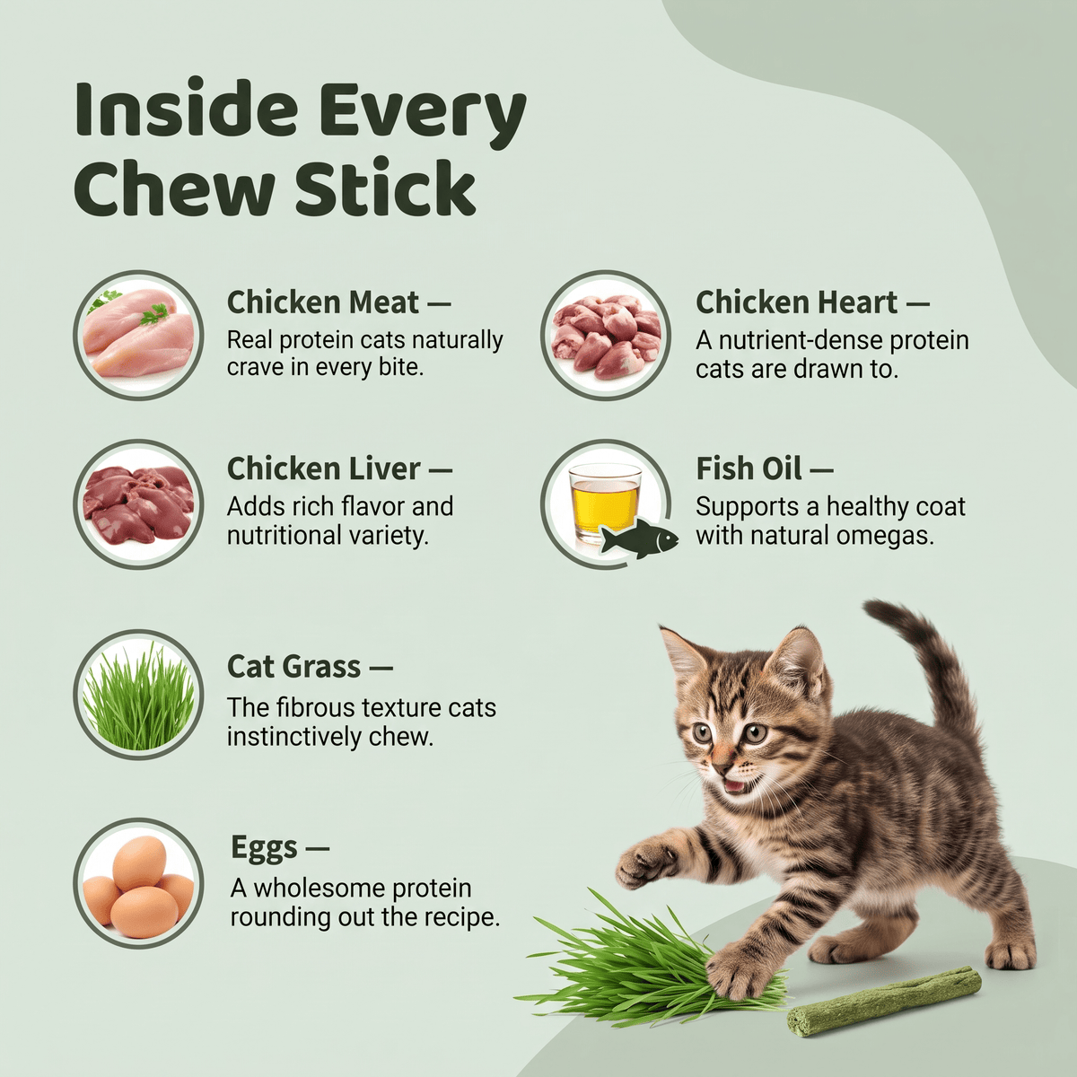 Little Paws Chew & Chomp